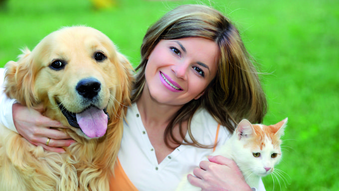 International Pet Transport